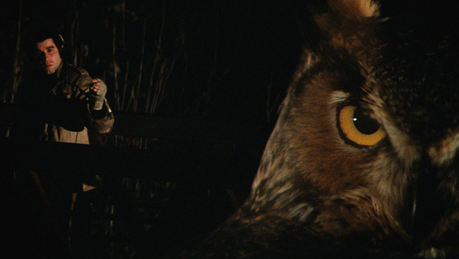 Blow Out (1981) –&nbsp;Review