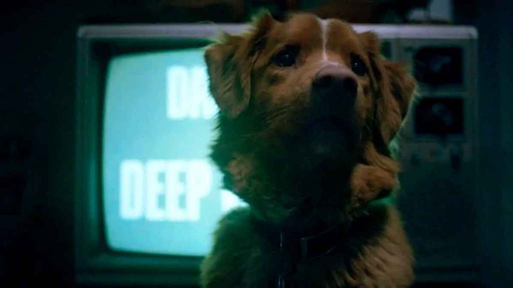 Good Boy (2025) –&nbsp;Review